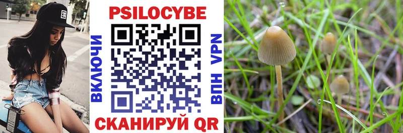 Псилоцибиновые грибы Magic Shrooms  Краснообск 